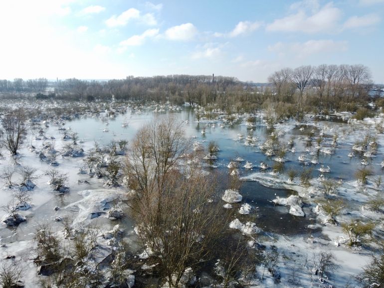 Het ijs blijft in de uiterwaarden aan de struiken hangen terwijl het water zakt