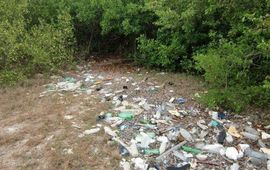 Eenmalig gebrtuik, Imares Wageningen UR, Zwerfvuil in het mangrovebos