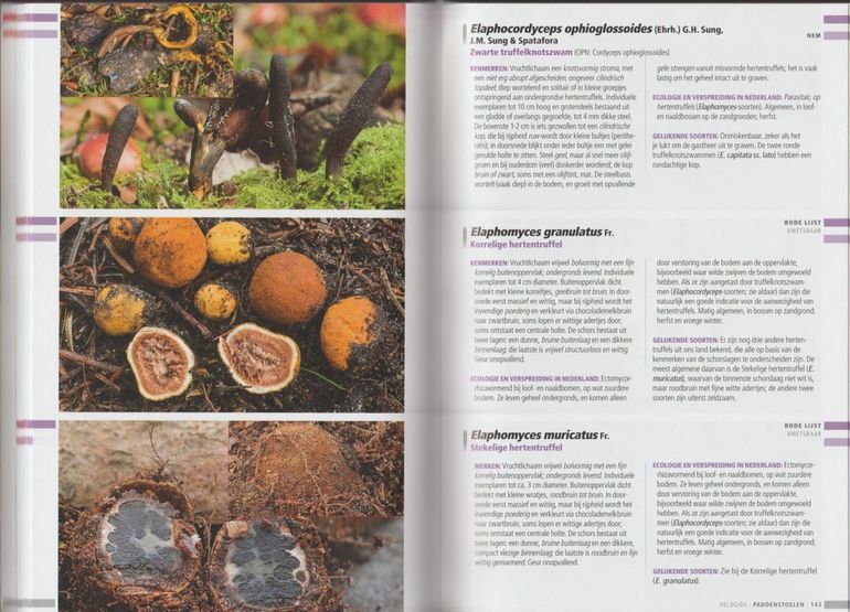 Voorbeeldpagina Veldgids Paddenstoelen deel 2