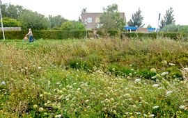 natuur in de stad Culemborg