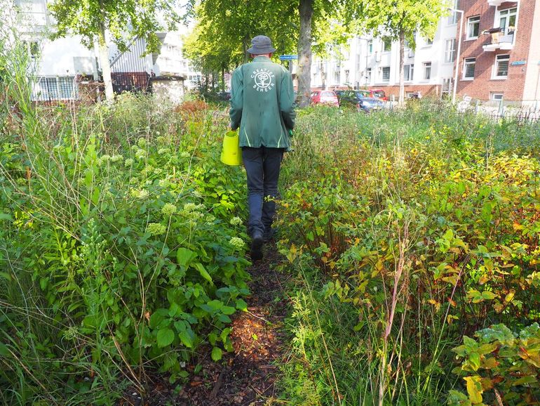 Rini loopt op het door de vrijwilligers aangelegde houtsnipperpad