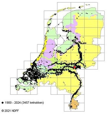 Verspreiding van Kruisdistel in Nederland. De rode stip laat de locatie zien waar Kruisdistelgalmug gevonden is