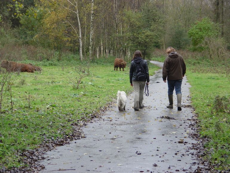 Als grazers op of naast het pad liggen of staan of het pad oversteken, ook dan afstand houden. Houd honden aan de lijn