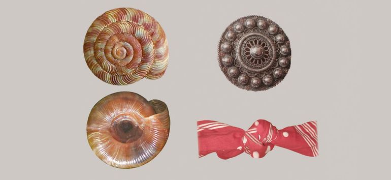 Links: boven- en onderaanzicht van het slakkenhuisje van het Boerenknoopje (Discus rotundatus). Rechts: Zeeuwse knoop. Onder: knoop in een boerenzakdoek; behalve geheugensteun ook een solidariteitssymbool