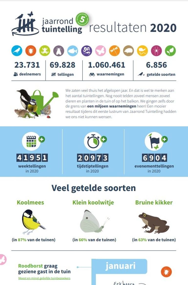 Jaarrond Tuintelling 2020. klik op de afbeelding voor een volledige versie (pdf: 2,6 MB)