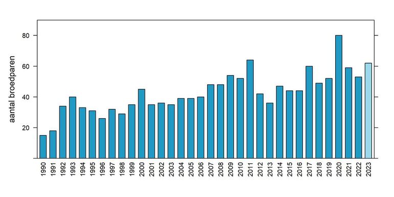 Aantalsontwikkeling van grauwe kiekendief in Nederland in 1990-2023 (2023 voorlopig aantal)
