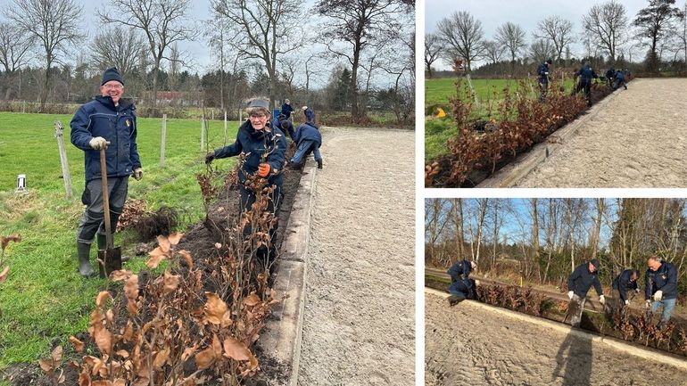 Impressie werkzaamheden Utrechtse Heuvelrug