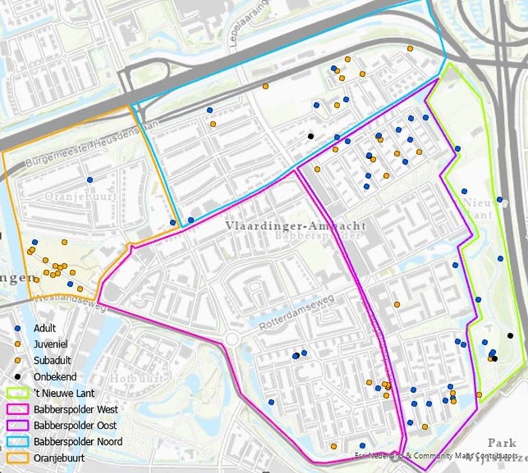 Alle waargenomen egels in Vlaardinger-Ambacht tijdens de avondrondes