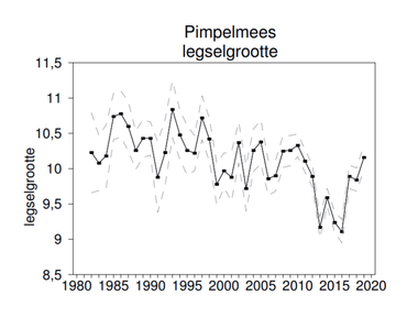 Pimpelmees legselgrootte per jaar