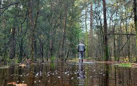 Een ondergelopen wandelpad in het Drents-Friese Wold