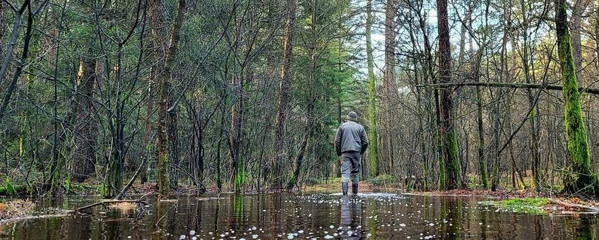 Een ondergelopen wandelpad in het Drents-Friese Wold