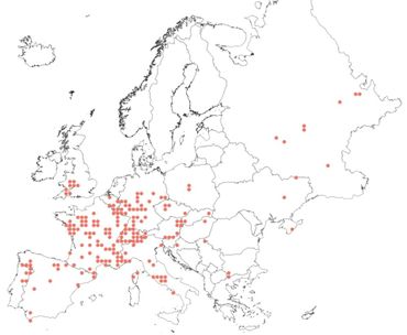 Verspreiding van de brildrager in Europa in de periode 2011-2020 per 50 bij 50 kilometerhok