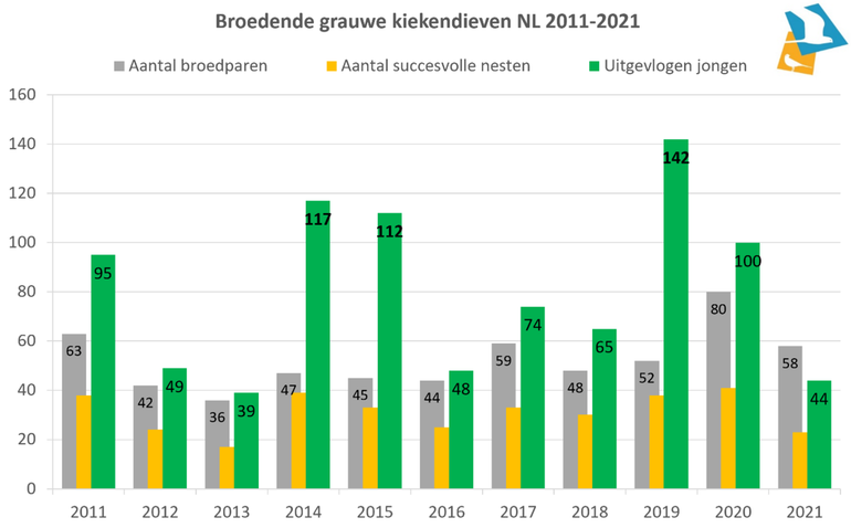 Figuur 1. Aantallen broedparen, succesvolle nesten en uitgevlogen jongen van grauwe kiekendieven broedend in de akkers in Nederland, van 2011 – 2021