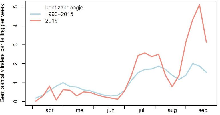 Aantal bont zandoogjes in de routes, 2016 vergeleken met langjarig gemiddelde 