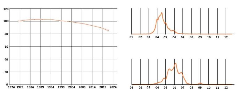 Pinksterbloem in drie grafieken: Trend (links), bloeitijd (rechtsboven) en periode vruchtdragend (rechtsonder)