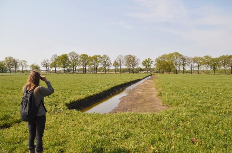 Natuurvriendelijke oever van landbouwperceel in Hilvarenbeek