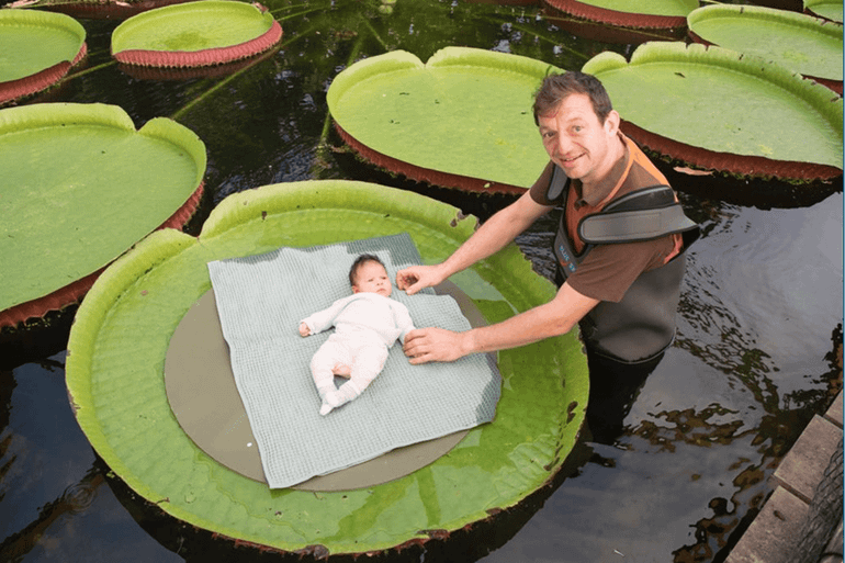 Louwerens-Jan Nederlof bij het blad van de reuzenwaterlelie