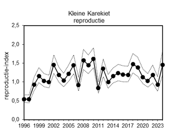 Figuur 2. De reproductie van de kleine karekiet viel in 2023 tegen, maar was in 2024 weer aan de hoge kant. Mogelijk heeft de nattigheid juist geleid tot een toename in geschikte broedhabitat