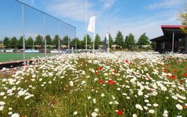 Biodiversiteit op sportvelden