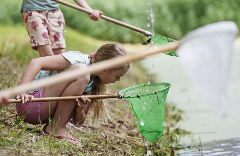 Dieren zoeken in de sloot