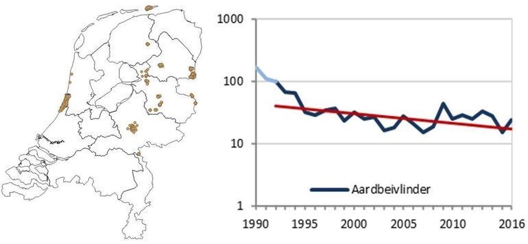 Aardbeivlinder: verspreidingskaartje vanaf 2007 en de trendgrafiek vanaf 1992