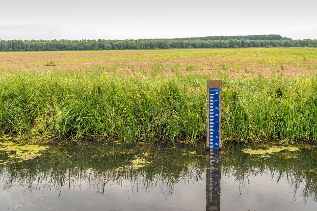 Nature Today | Natuur zoekt stem in het waterschap: nieuwe bestuurders gezocht