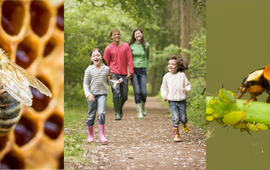 Shutterstock Ecosysteemdiensten