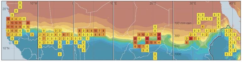 Voorkomen van de tapuit in Afrika tussen 7 en 22° N zoals gemeten in 150 cellen van 1 breedtegraad bij 1 lengtegraad (ca 100 x 111 km). De hoogste dichtheden (vogels/km2) werden gemeten in de zone met een jaarlijkse regenval van 200 – 700 mm. Op basis van deze tellingen kon worden berekend dat  27 miljoen tapuiten in de Sahel overwinteren