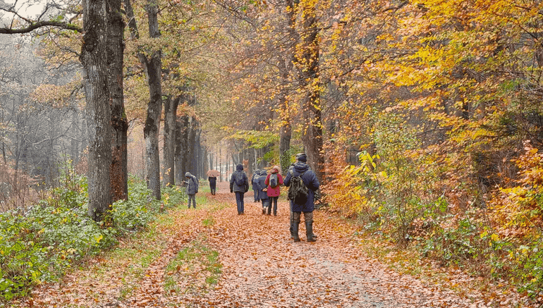 Ga mee op paddenstoelenexcursie tijdens de cursus