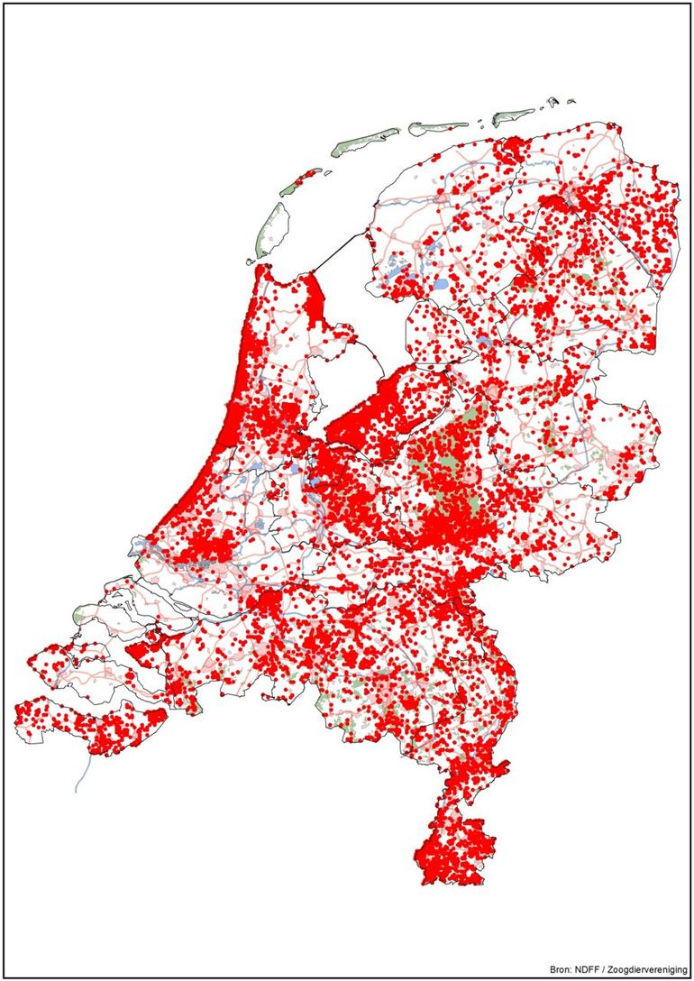 Waarnemingen van vossen vanaf 2010