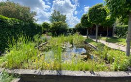 Justin Jansen vijver in de tuin, biodiversiteitssafari in eigen tuin