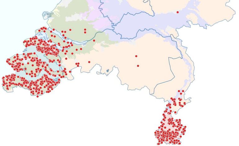 De waarnemingen van het kaasjeskruiddikkopje vanaf 2003
