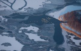 Jeroen Komen, CC BY-SA 2.0 Winter op het Veluwemeer