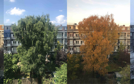 GrowApp.today https://www.growapp.today/#/?activePhoto=27484&activePhotoSet=27484&fullScreen=true