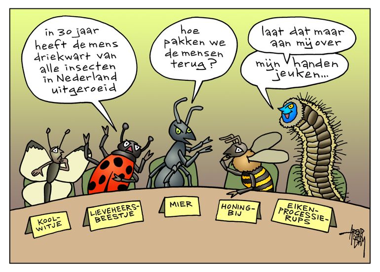 De problemen rond insecten treffend in beeld. Plagen en het verlies van biodiversiteit hebben meer met elkaar te maken dan je denkt. 