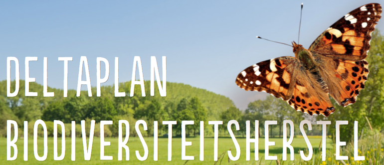 Sinds 2018 hebben 62 partners zich verenigd om samen te werken aan het Deltaplan Biodiversiteitsherstel