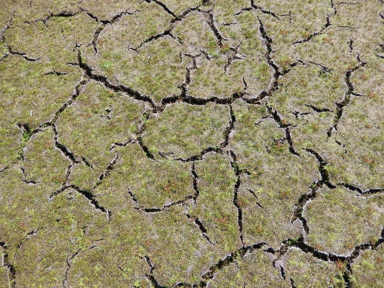 Veel vennen vielen droog