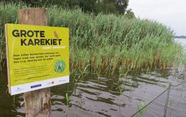 Bordje bescherming Grote Karekiet