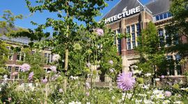 Een van de onderzochte locaties is het voorplein van de faculteit Bouwkunde waar van 2024 op 2025 de bestrating grotendeels is verwijderd en een wadi is aangelegd.