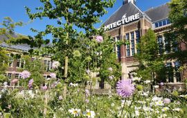 Een van de onderzochte locaties is het voorplein van de faculteit Bouwkunde waar van 2024 op 2025 de bestrating grotendeels is verwijderd en een wadi is aangelegd.