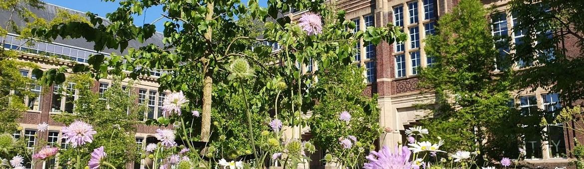 Een van de onderzochte locaties is het voorplein van de faculteit Bouwkunde waar van 2024 op 2025 de bestrating grotendeels is verwijderd en een wadi is aangelegd.