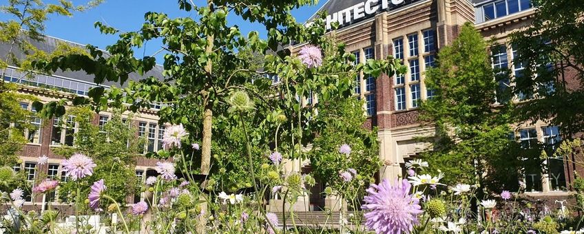 Een van de onderzochte locaties is het voorplein van de faculteit Bouwkunde waar van 2024 op 2025 de bestrating grotendeels is verwijderd en een wadi is aangelegd.