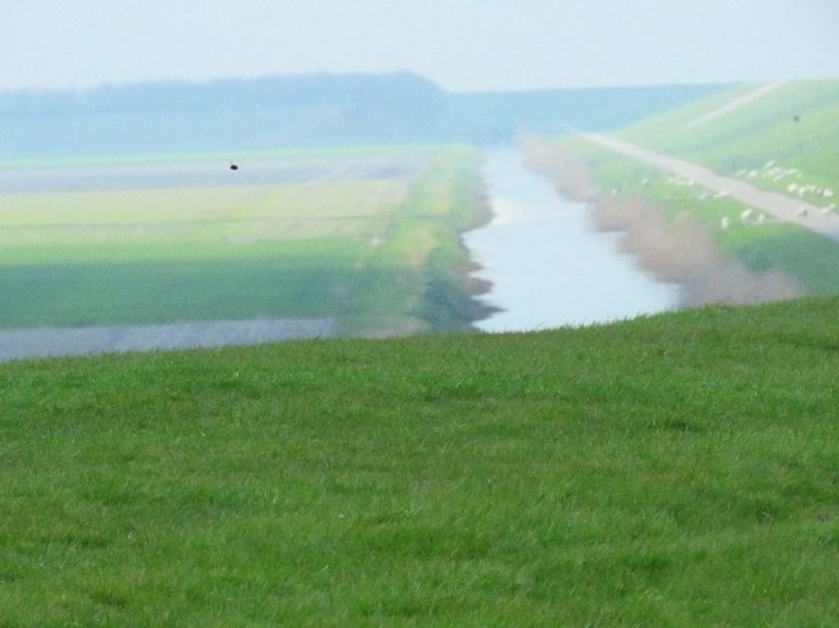 Een trekkende hommel bij telpost De Noordkaap, Groningen op 9 april 2016