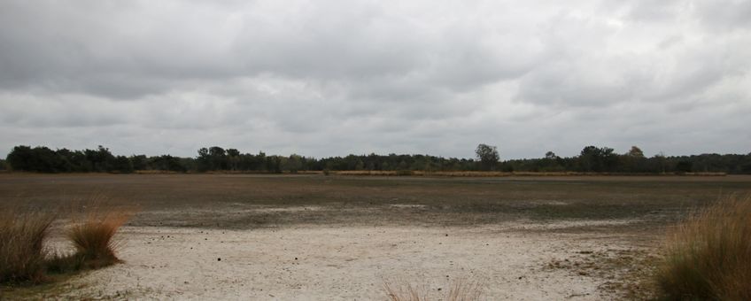 Drooggevallen Keijenhurkven