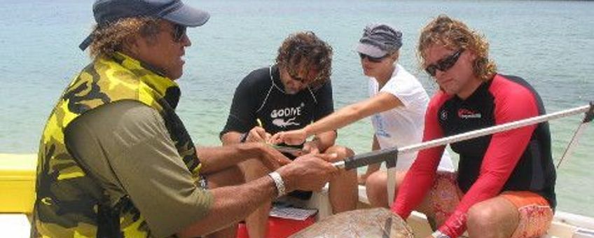 Measuring sea turtles during the Sea Turtle Monitoring Workshop on Bonaire (May 2010)