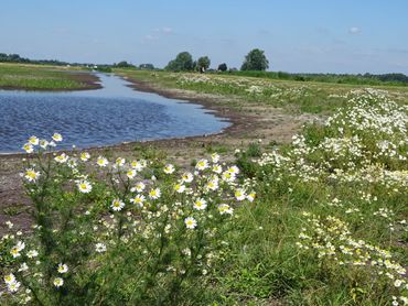 Groot Wilnis-Vinkeveen