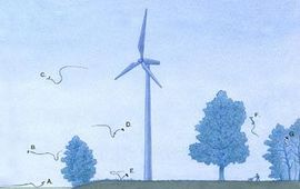 vzz illustratie wind en vleeermuizen 1