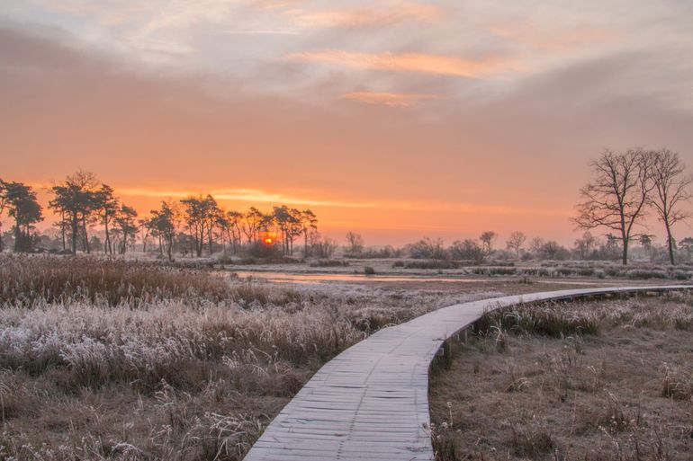 Gelderse topnatuur: de Empese en Tondense heide bij Brummen