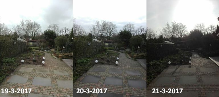 Tuin in Rietveld