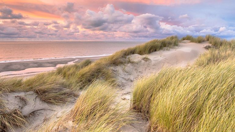 Als de wind voldoende grip heeft op het zand ontstaat actieve duinvorming